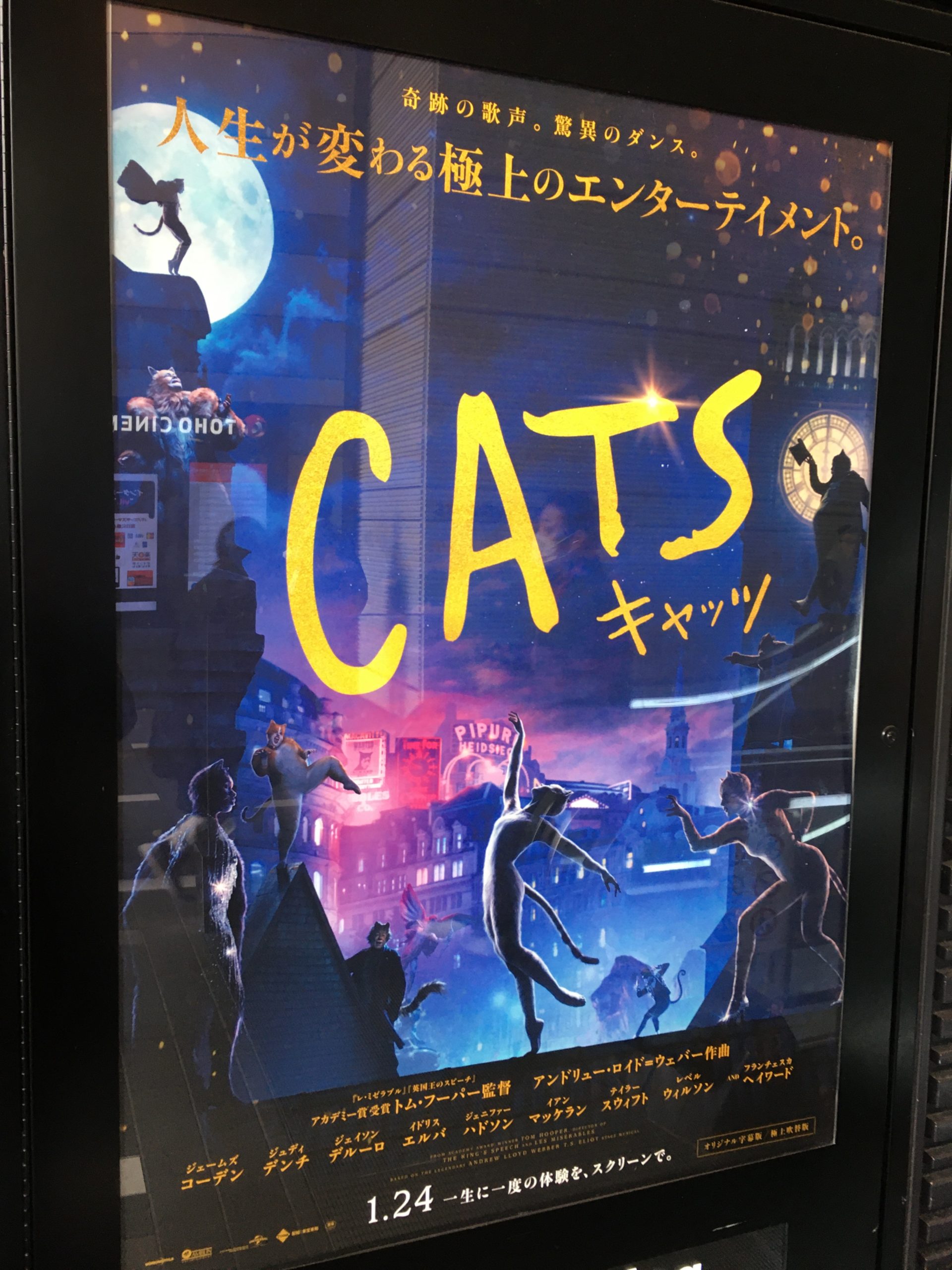 cats2
